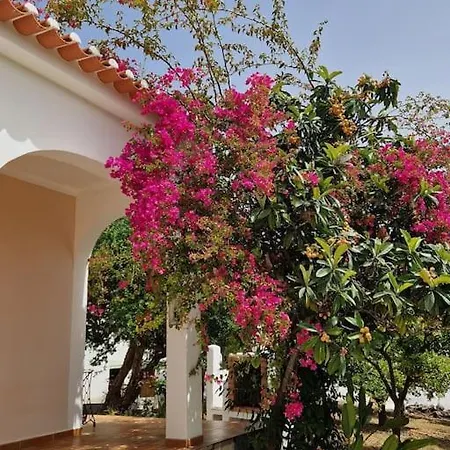 Grade Casa D'avo * Alcantarilha